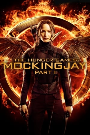 The Hunger Games: Mockingjay - Part 1 (2014) Hindi Dual Audio 480p BluRay 350MB Movie Poster