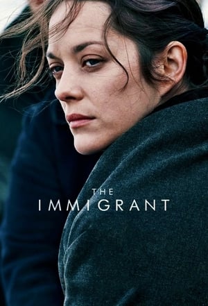 The Immigrant (2013) Hindi Dual Audio 720p BluRay [880MB] Movie Poster