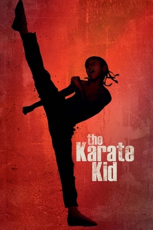 The Karate Kid 2010 Hindi Dubbed 720p Bluray 1GB Movie Movie Poster