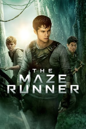 The Maze Runner (2014) Hindi Dual Audio 480p BluRay 400MB Movie Poster