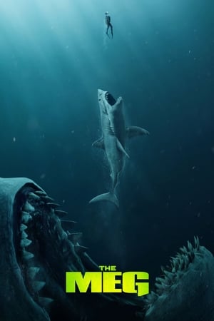 The Meg (2018) Hindi (Org) Dual Audio 480p BluRay 350MB Movie Poster