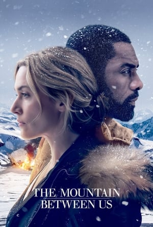 The Mountain Between Us 2017 Dual Audio Hindi 480p Bluray 350MB Movie Poster