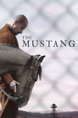 The Mustang (2019) Hindi Dual Audio 480p BluRay 300MB Movie Poster