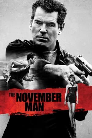 The November Man 2014 Dual Audio [Hindi - English] 480p BluRay 350MB Movie Poster