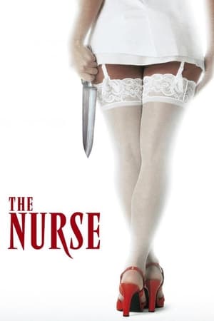 The Nurse (1997) Hindi Dual Audio 480p Uncut DVDRip 340MB Movie Poster