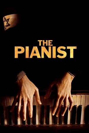 The Pianist (2002) Hindi Dual Audio 720p BluRay [1GB] Movie Poster