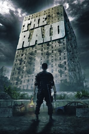 The Raid: Redemption (2011) Hindi Dual Audio 720p BluRay [900MB] ESubs Movie Poster