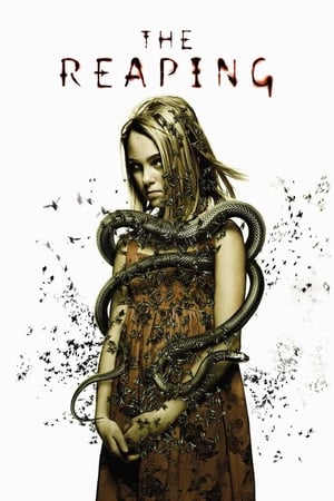 The Reaping (2007) Hindi Dual Audio 720p BluRay [700MB] Movie Poster