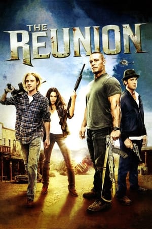 The Reunion (2011) Hindi Dual Audio 720p HDRip [900MB] Movie Poster