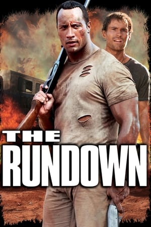 The Rundown (2003) Hindi Dual Audio 720p BluRay [880MB] Movie Poster