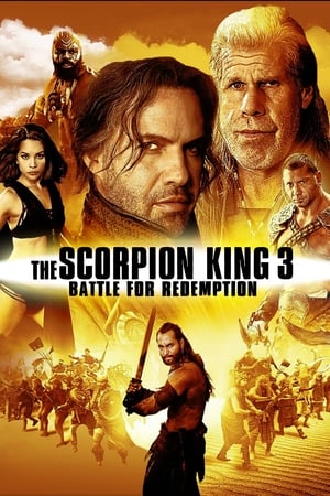 The Scorpion King 3 Battle for Redemption (2012) 100mb Hindi Dual Audio movie Hevc BRRip Download Movie Poster