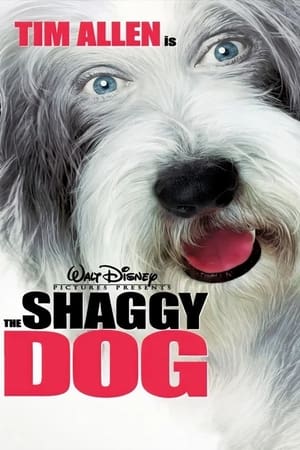 The Shaggy Dog (2006) Hindi Dual Audio 720p BluRay [950MB] Movie Poster