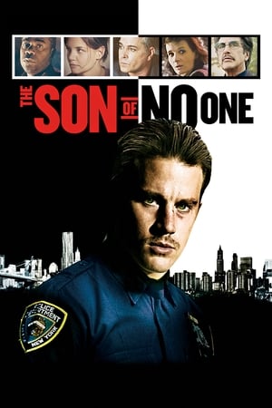 The Son of No One (2011) Hindi Dual Audio 480p BluRay 300MB Movie Poster