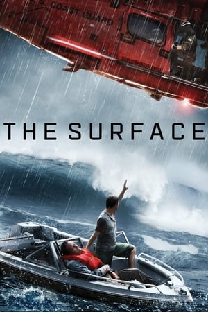 The Surface (2014) Hindi Dual Audio 480p Web-DL 300MB Movie Poster