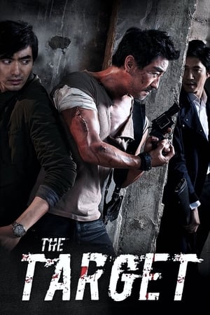 The Target (2014) Hindi Dual Audio 480p Bluray 300MB Movie Poster