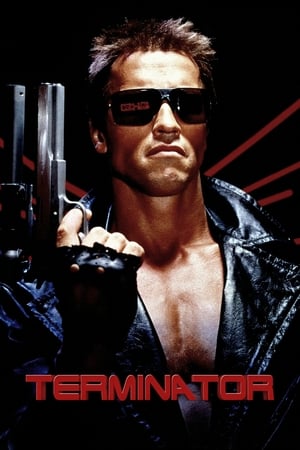 The Terminator (1984) Hindi Dual Audio 480p BluRay 380MB Movie Poster