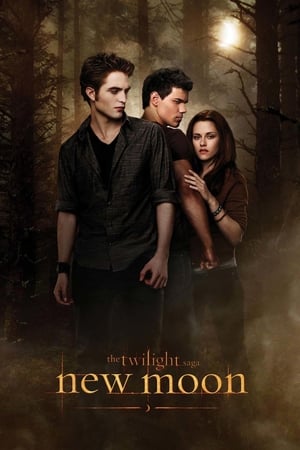 The Twilight Saga New Moon (2009) Hindi Dual Audio Bluray 720p [1.0GB] Download Movie Poster