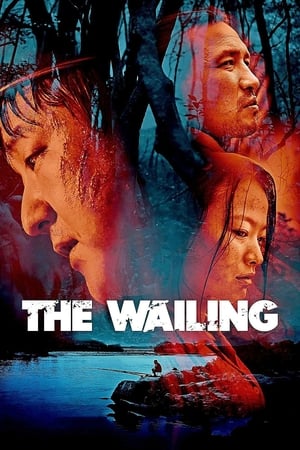 The Wailing 2016 Hindi Dual Audio 720p Web-DL [1.3GB] Movie Poster