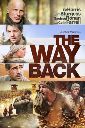 The Way Back (2010) Hindi Dual Audio 720p BluRay [950MB] ESubs Movie Poster