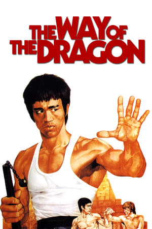 The Way of the Dragon (1972) Hindi Dual Audio 720p BluRay [940MB] Movie Poster