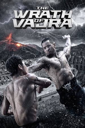 The Wrath of Vajra (2013) Hindi Dual Audio 720p BluRay [900MB] Movie Poster