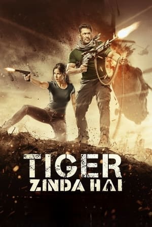 Tiger Zinda Hai 2017 490MB Movie 480p BluRay Download Movie Poster