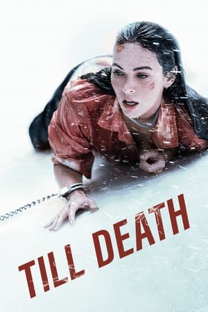 Till Death (2021) Hindi Dual Audio 720p HDRip [750MB] Movie Poster