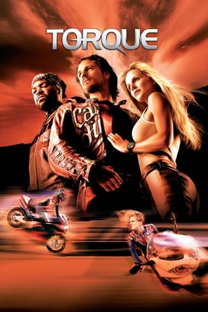 Torque 2004 Hindi Dual Audio BRRip 720p [600MB] Download Movie Poster