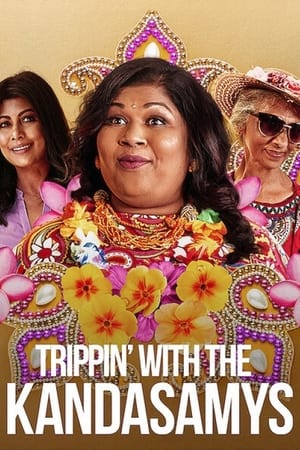 Trippin with the Kandasamys 2021 Hindi Dual Audio 480p Web-DL 300MB Movie Poster