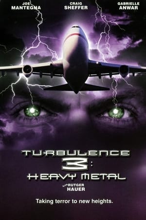 Turbulence 3 Heavy Metal 2001 Hindi Dual Audio 720p Web-DL [1GB] Movie Poster