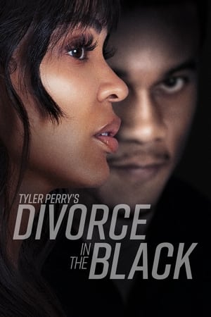 Tyler Perry’s Divorce in the Black (2024) Hindi Dual Audio HDRip 1080p – 720p – 480p Movie Poster