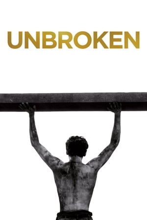 Unbroken (2014) Hindi Dual Audio 720p BluRay [1.2GB] Movie Poster