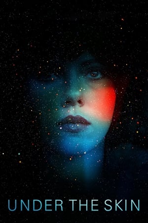 Under the Skin 2013 Hindi Dual Audio 480p BluRay 350MB Movie Poster