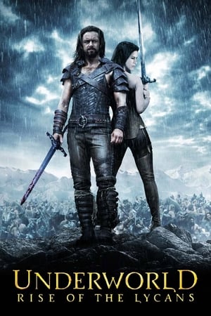 Underworld Rise of the Lycans (2009) 100mb Hindi Dual Audio movie Hevc BRRip Download Movie Poster