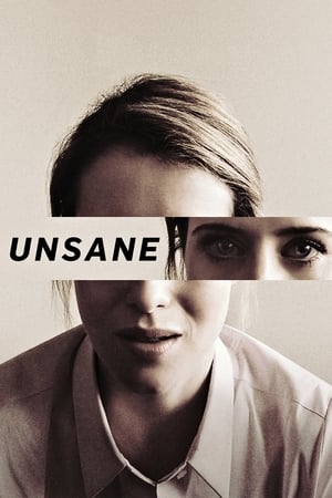 Unsane (2018) Hindi Dual Audio 720p BluRay [1GB] Movie Poster