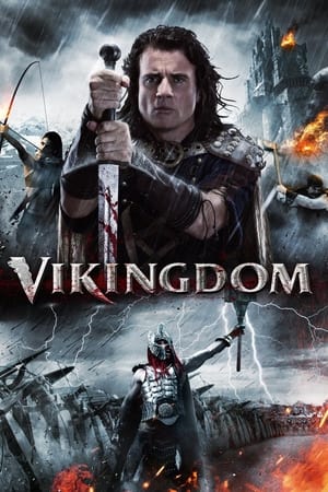 Vikingdom 2013 Hindi Dual Audio 480p BluRay 380MB Movie Poster