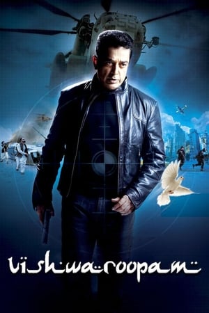 Vishwaroopam (2013) Hindi Dubbed 480p HDTVRip 400MB Movie Poster