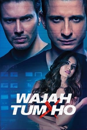 Wajah Tum Ho 2016 [PDVDRip] 700MB DDR Movie Poster