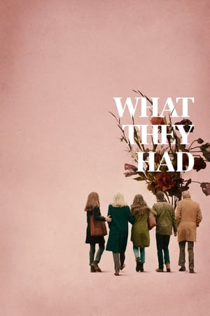 What They Had (2018) Hindi Dual Audio 480P BluRay 350MB Movie Poster