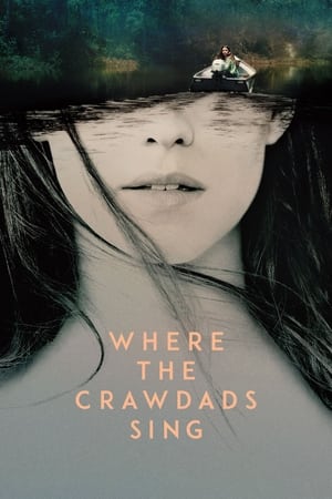 Where the Crawdads Sing (2022) Hindi Dual Audio HDRip 720p – 480p Movie Poster