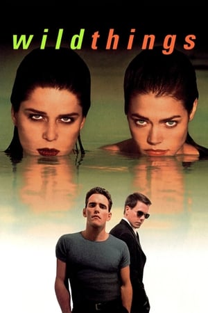 Wild Things (1998) 100mb Hindi Dual Audio Hevc BRRip Download Movie Poster