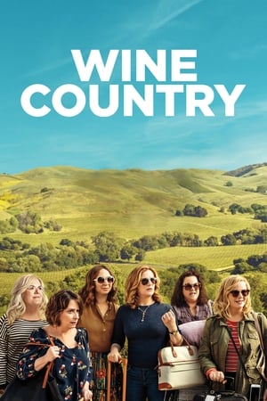 Wine Country (2019) Hindi Dual Audio 480p Web-DL 350MB Movie Poster