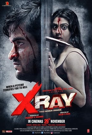 X Ray The Inner Image 2019 Hindi Movie 720p HDRip x264 [900MB] Movie Poster