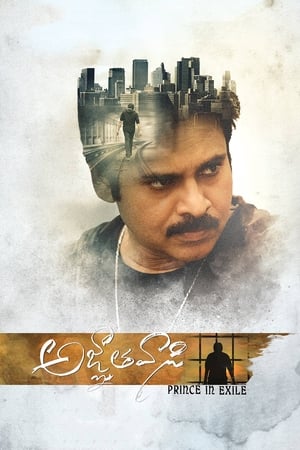 Yevadu 3 (Agnyaathavaasi) 2018 Dual Audio Hindi 480p UnCut HDRip 450MB Movie Poster