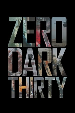 Zero Dark Thirty 2012 Hindi Dual Audio 720p BluRay [1.2GB] Movie Poster