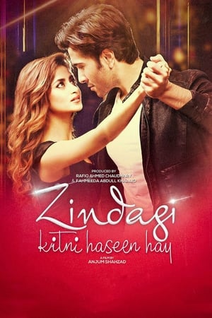 Zindagi Kitni Haseen Hay (2016) Pakistani Movie 720p HDRip x264 [980MB] Movie Poster